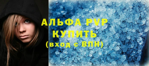 соль ск Инсар