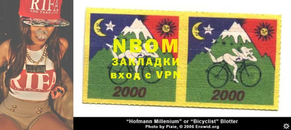 дмт Каменногорск