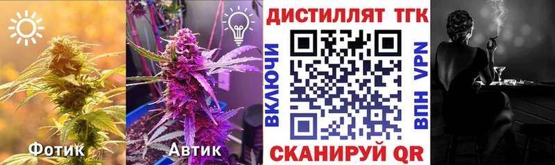 Дистиллят ТГК концентрат Кимовск