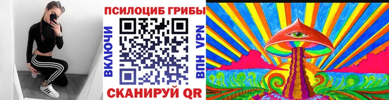 Купить закладки  Кимовск  Галлюциногенные грибы GOLDEN TEACHER 